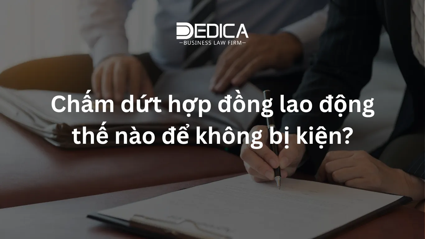 ảnh website dedica - 2025-12-30T104458.821.webp