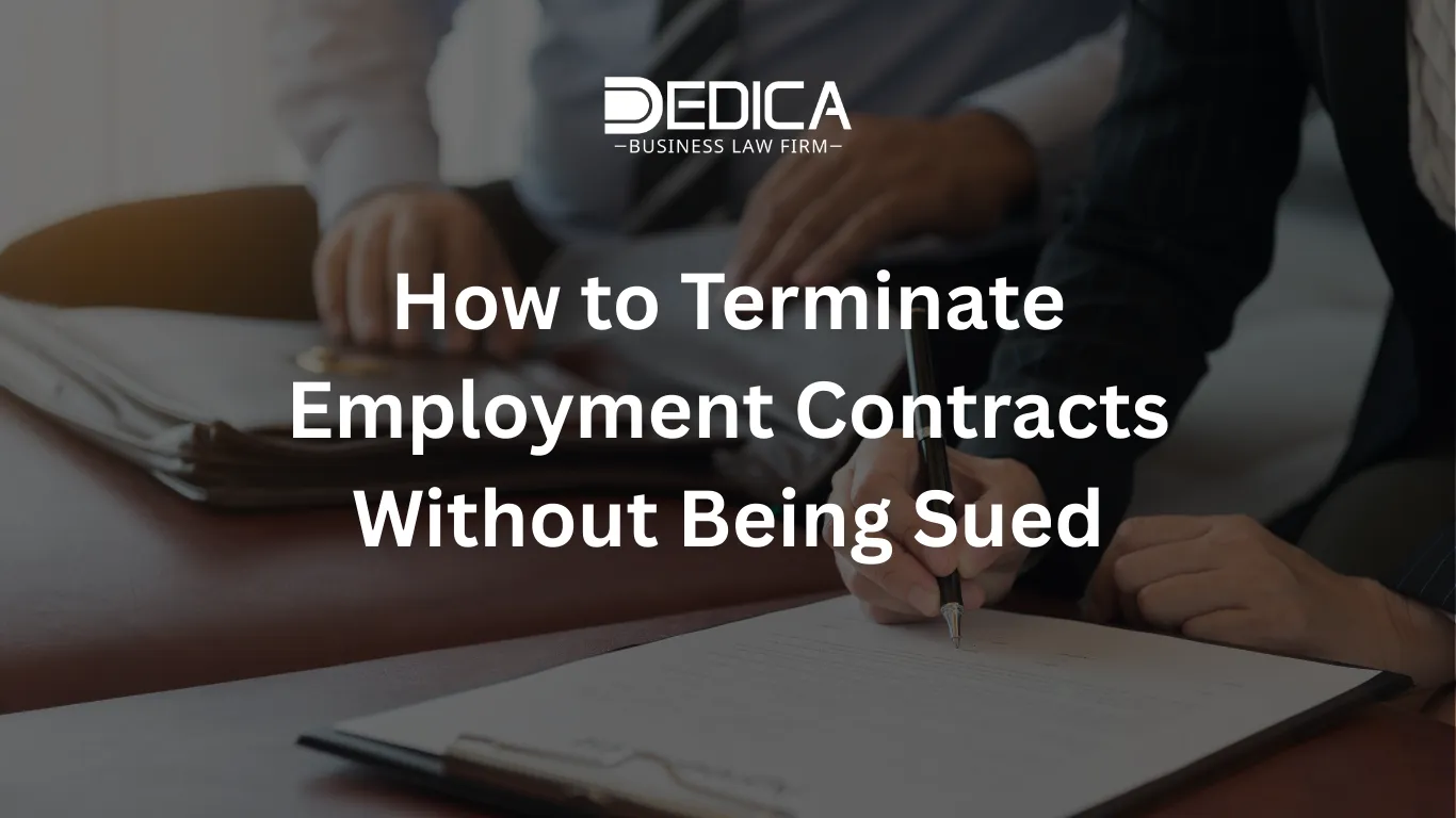 ảnh website dedica - 2025-12-30T141051.914.webp