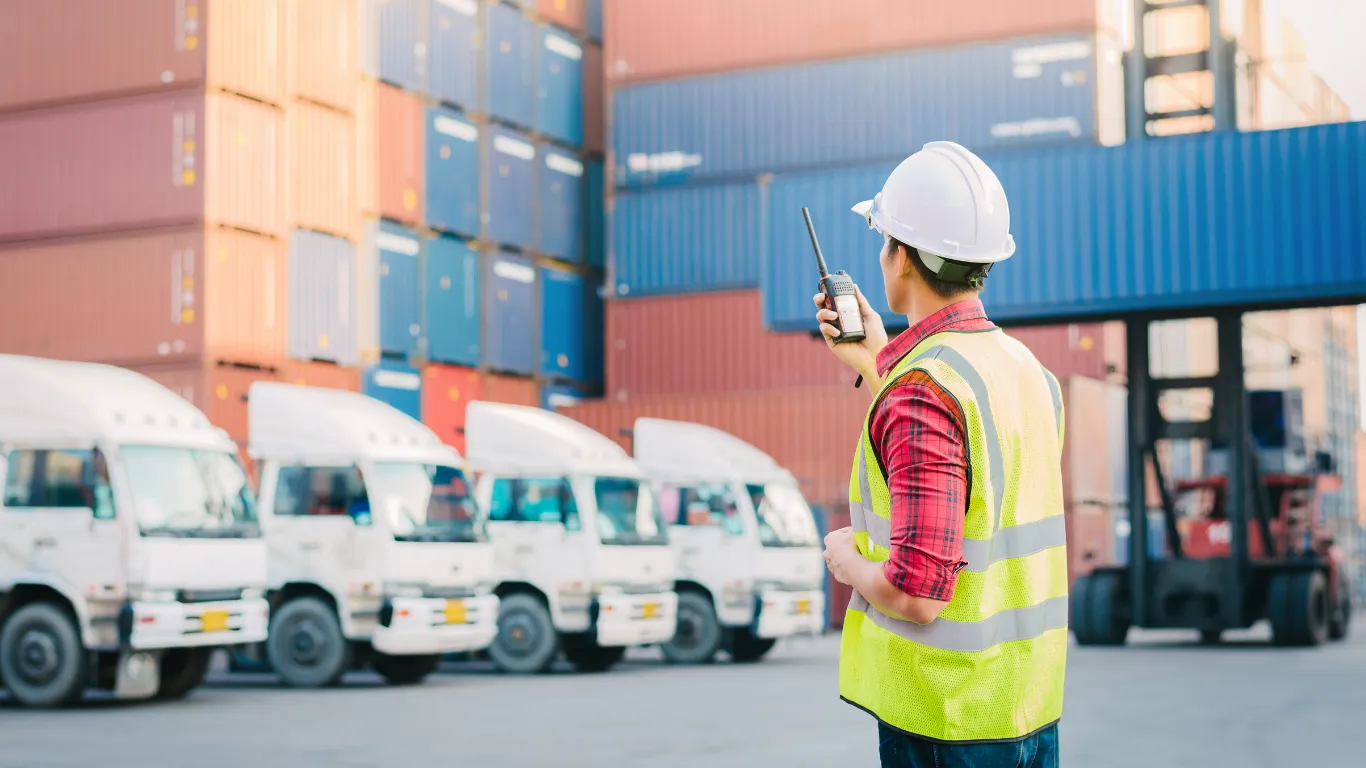 ảnh website dedica - 2025-12-31T112716.726.webp