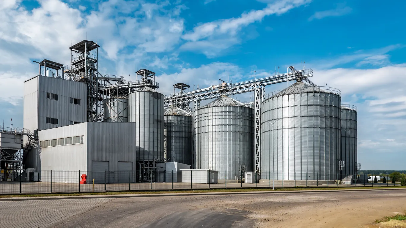 ảnh website dedica - 2026-01-08T160053.299.webp