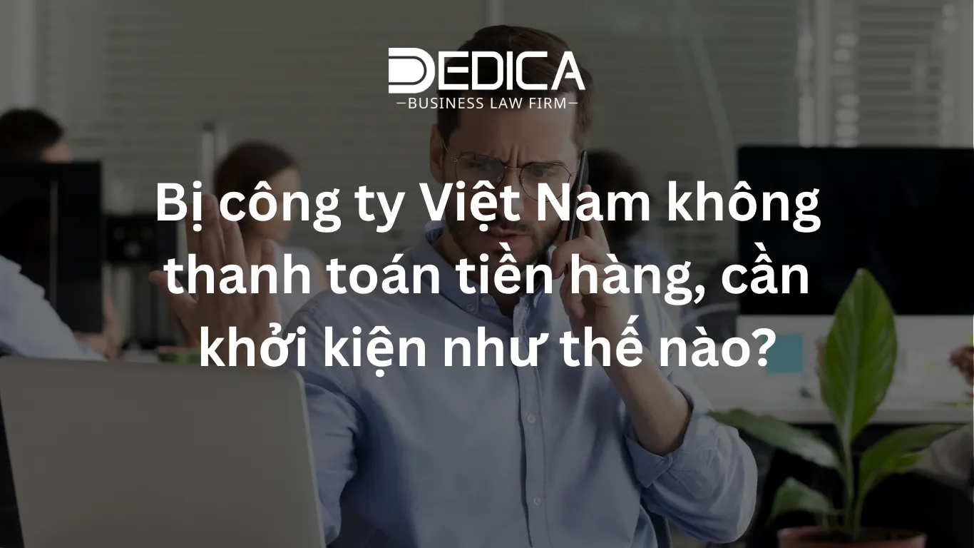 ảnh website dedica - 2026-01-12T112808.218.webp