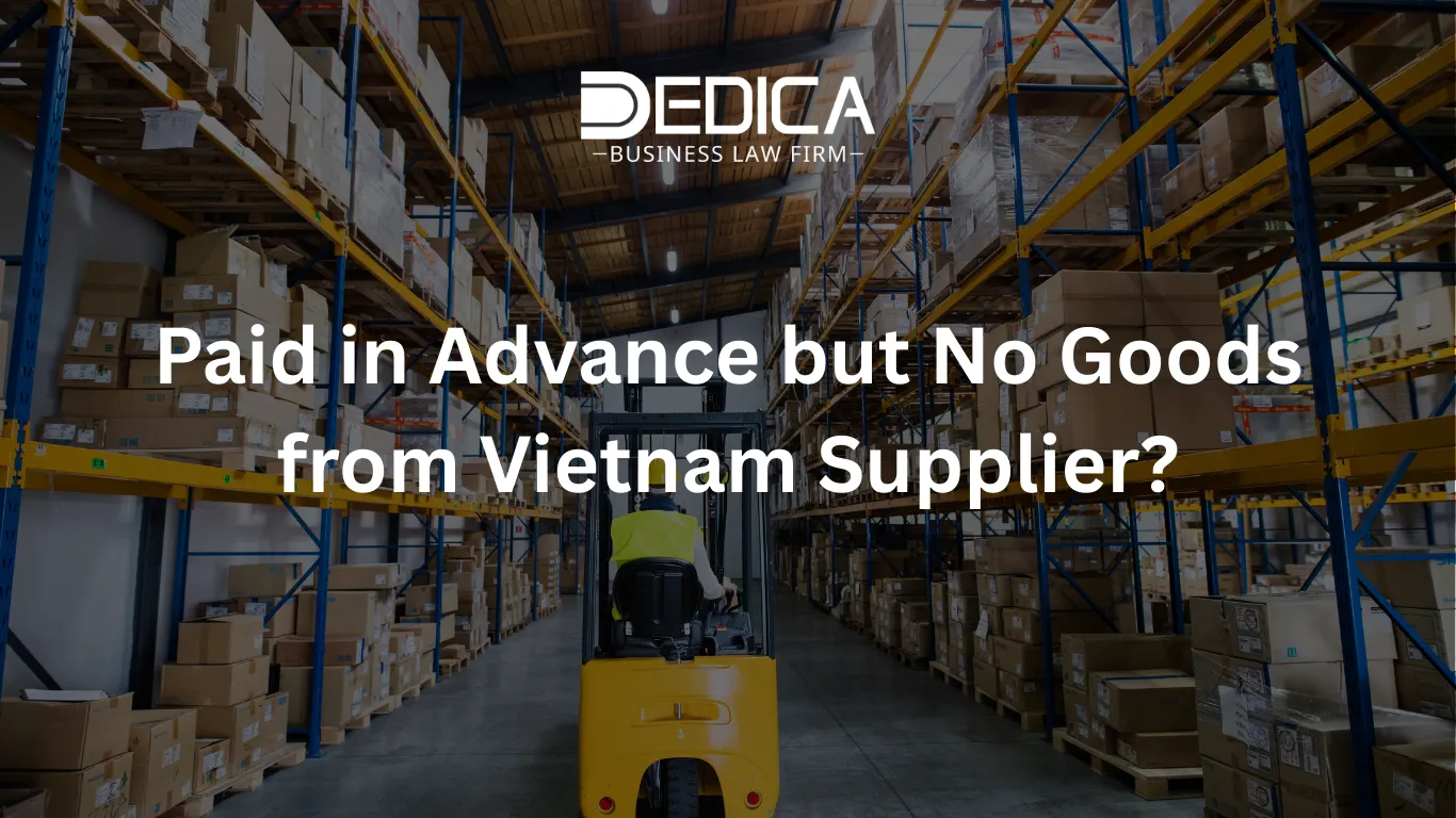 ảnh website dedica - 2026-01-20T102251.779.webp