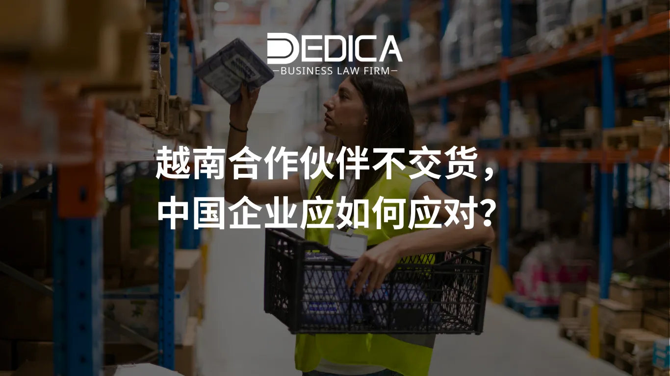 ảnh website dedica - 2026-01-20T120140.254.webp