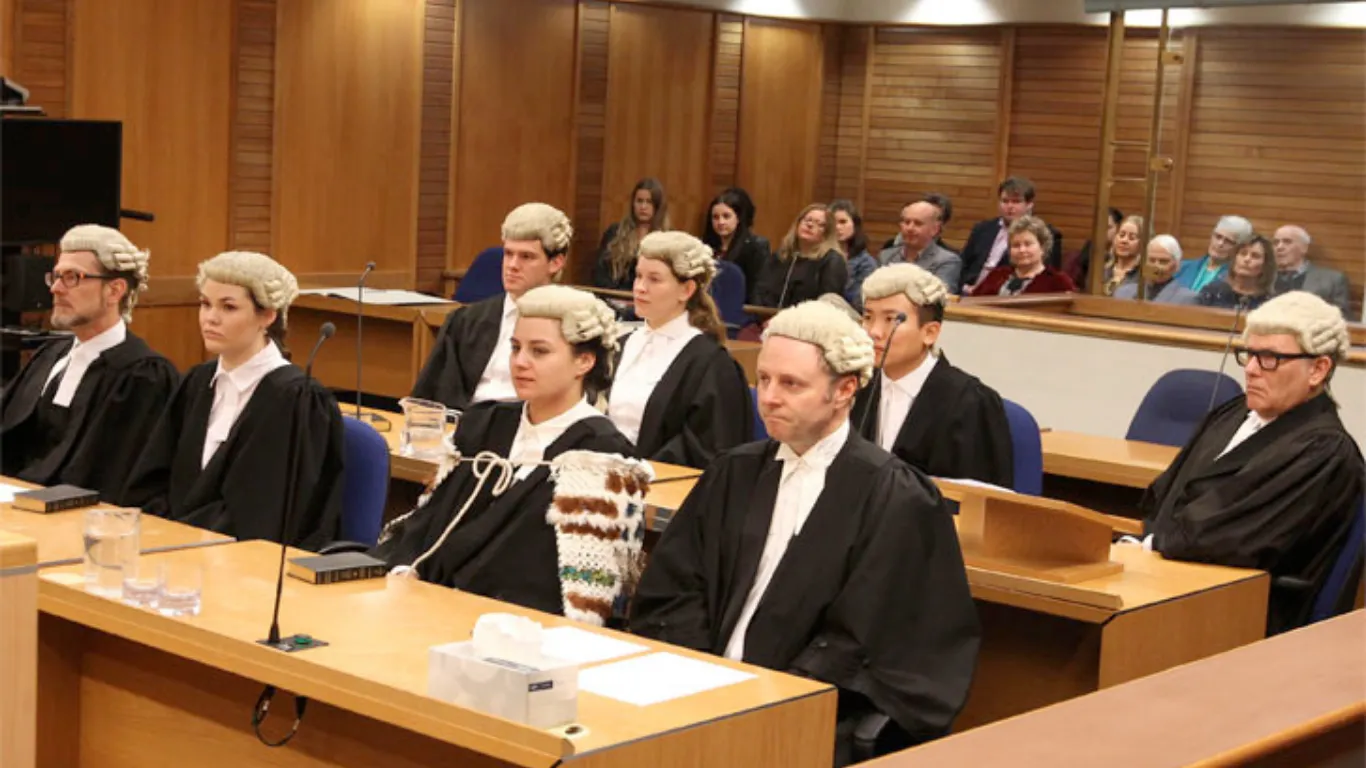 ảnh website dedica - 2026-01-22T111245.602.webp