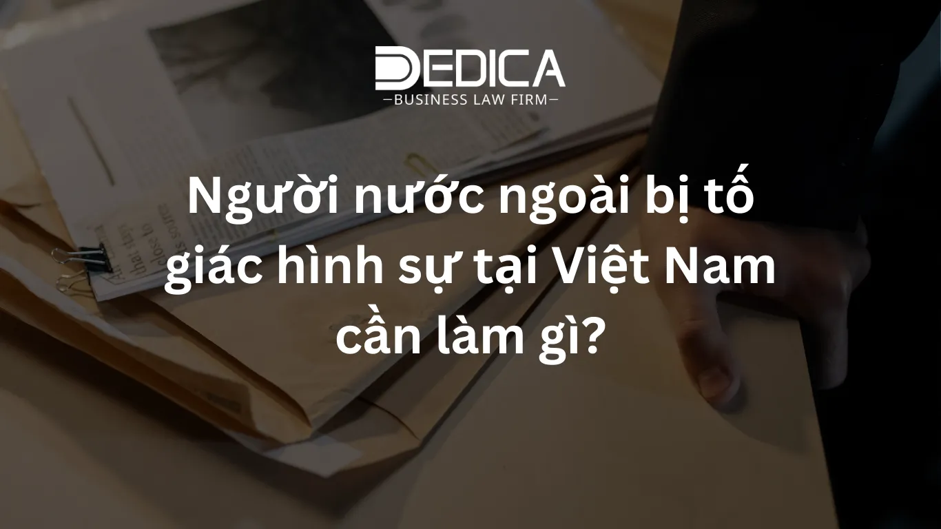 ảnh website dedica - 2026-01-29T153624.913.webp