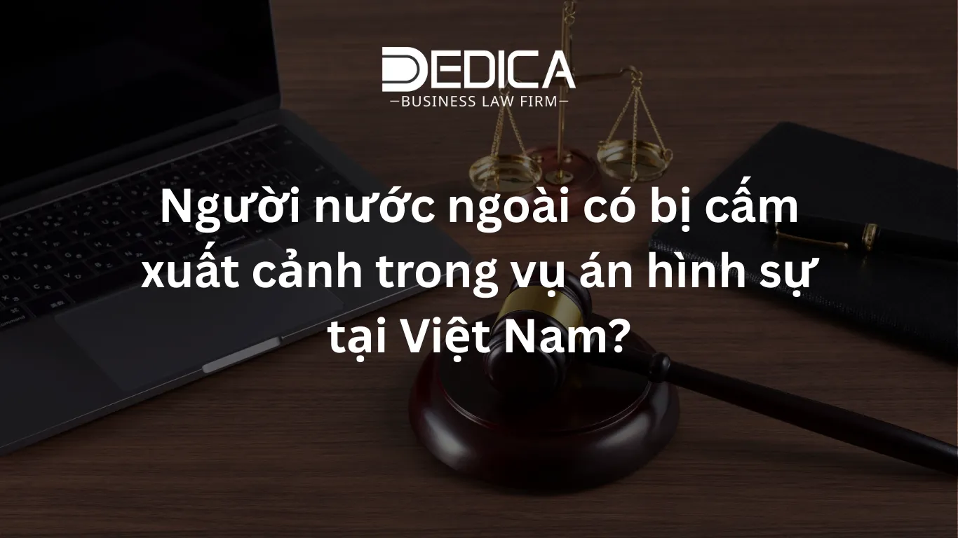 ảnh website dedica - 2026-01-30T163036.087.webp