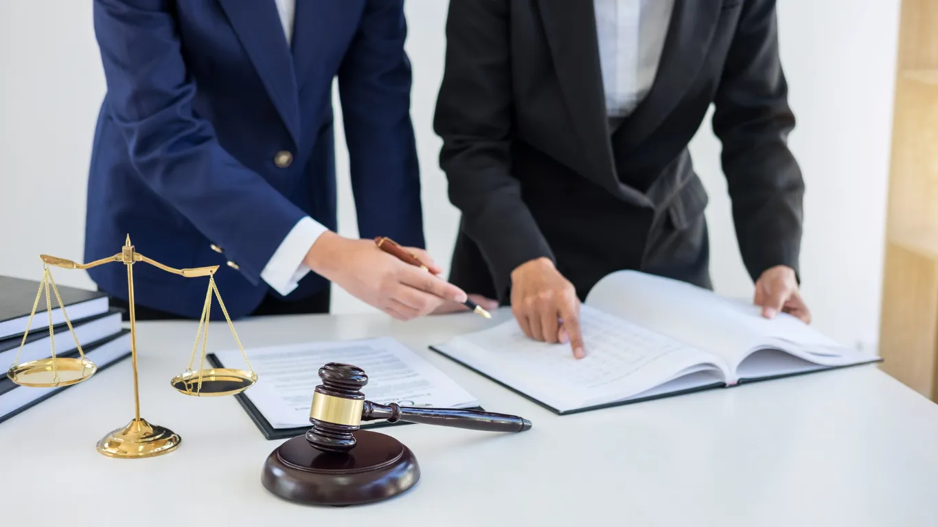 ảnh website dedica - 2026-01-30T170654.761.webp