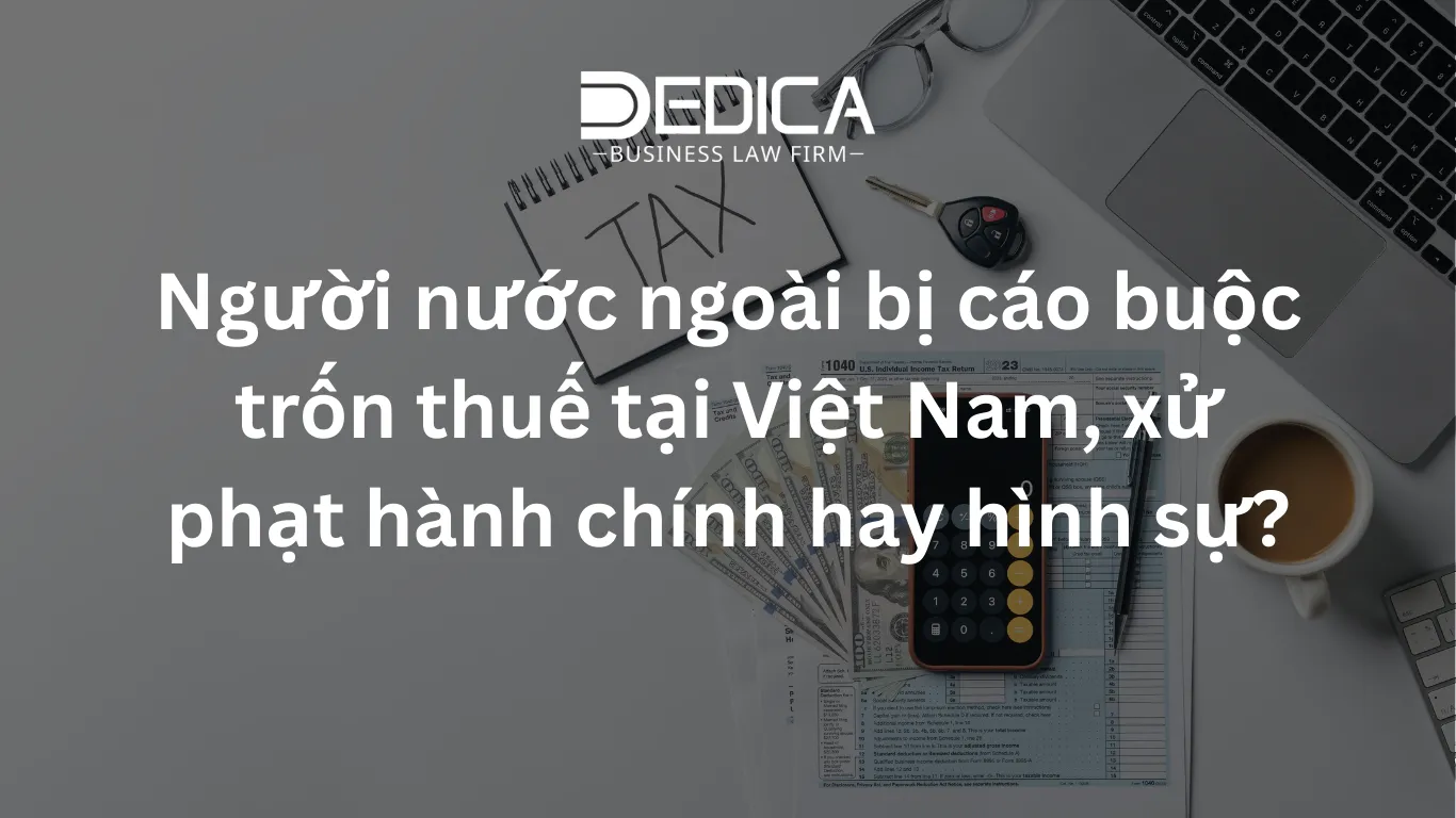 ảnh website dedica - 2026-02-03T134741.921.webp