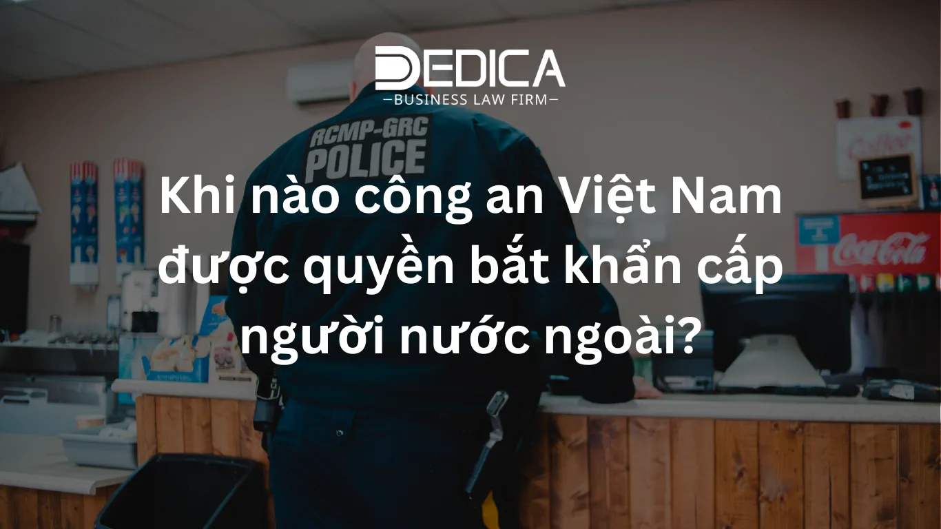 ảnh website dedica - 2026-02-05T145121.161.webp