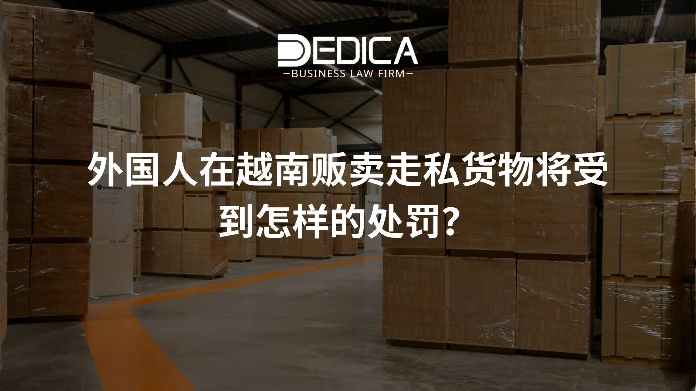 ảnh website dedica - 2026-02-25T134636.205.webp