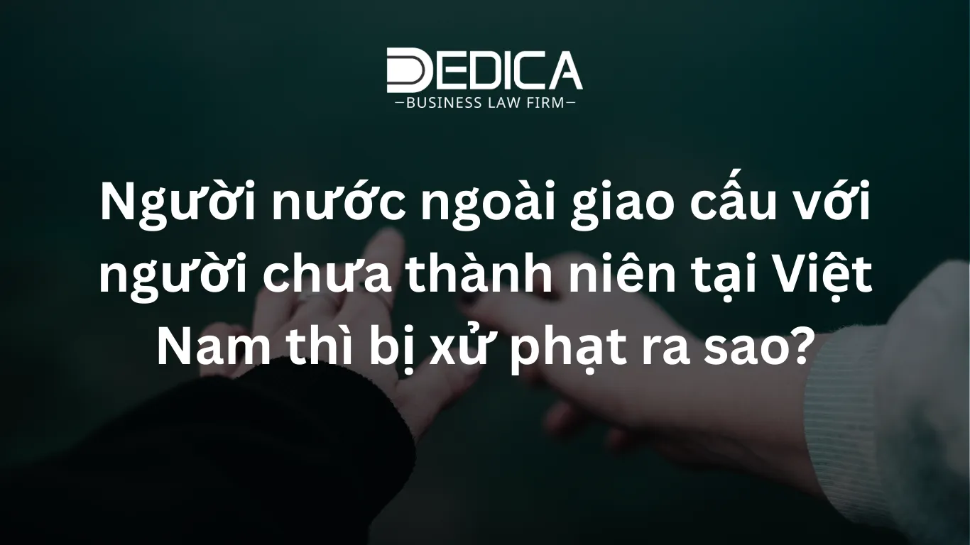 ảnh website dedica - 2026-02-26T150831.113.webp