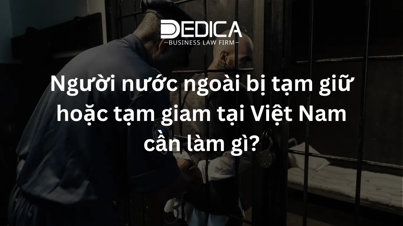 ảnh website dedica - 2026-02-27T093855.225.webp