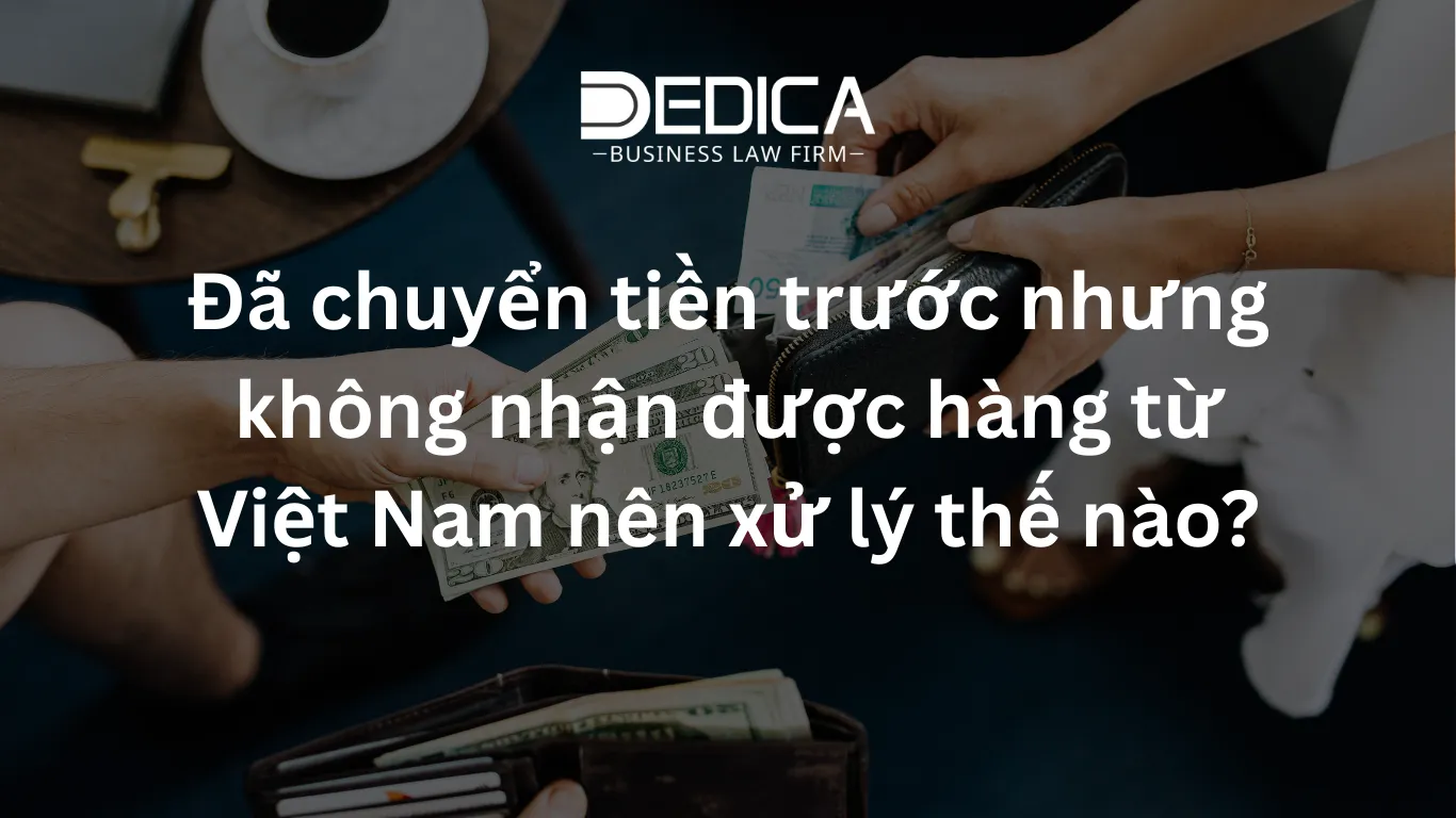 ảnh website dedica - 2026-02-27T144656.060.webp