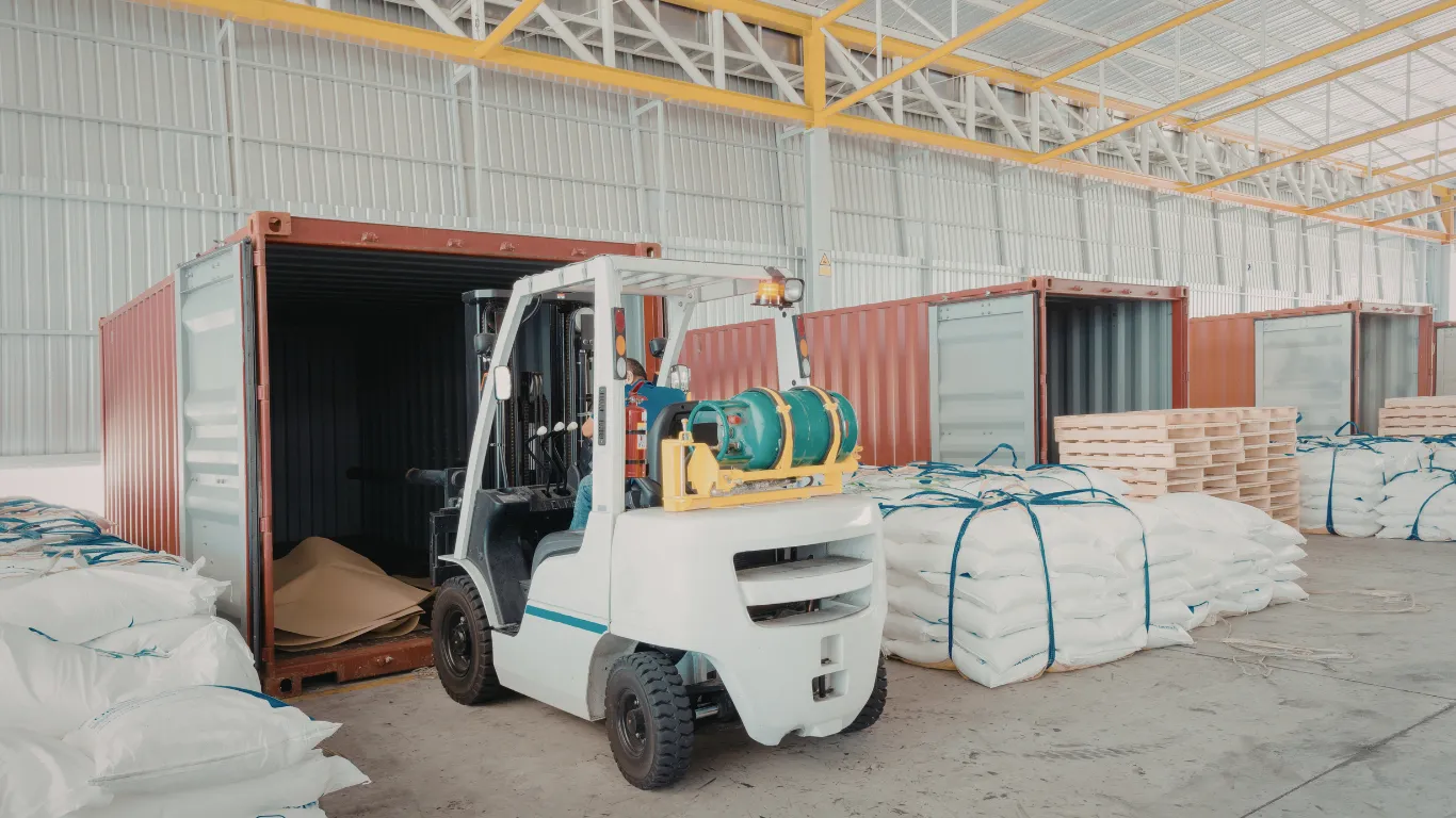 ảnh website dedica - 2026-02-27T144729.057.webp