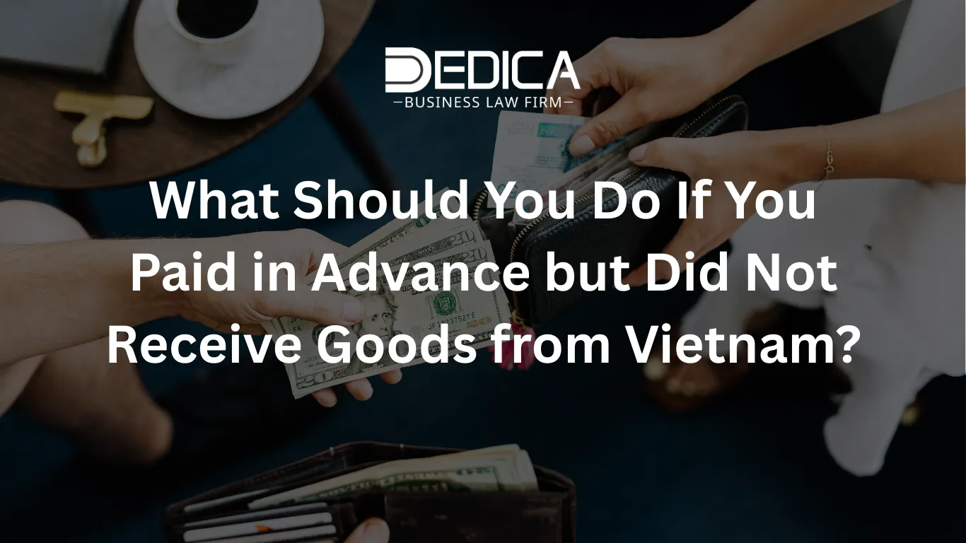 ảnh website dedica - 2026-02-27T152236.457.webp