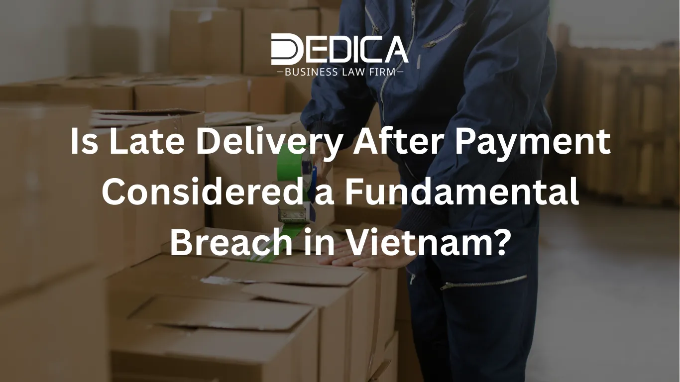 ảnh website dedica - 2026-02-27T161305.980.webp