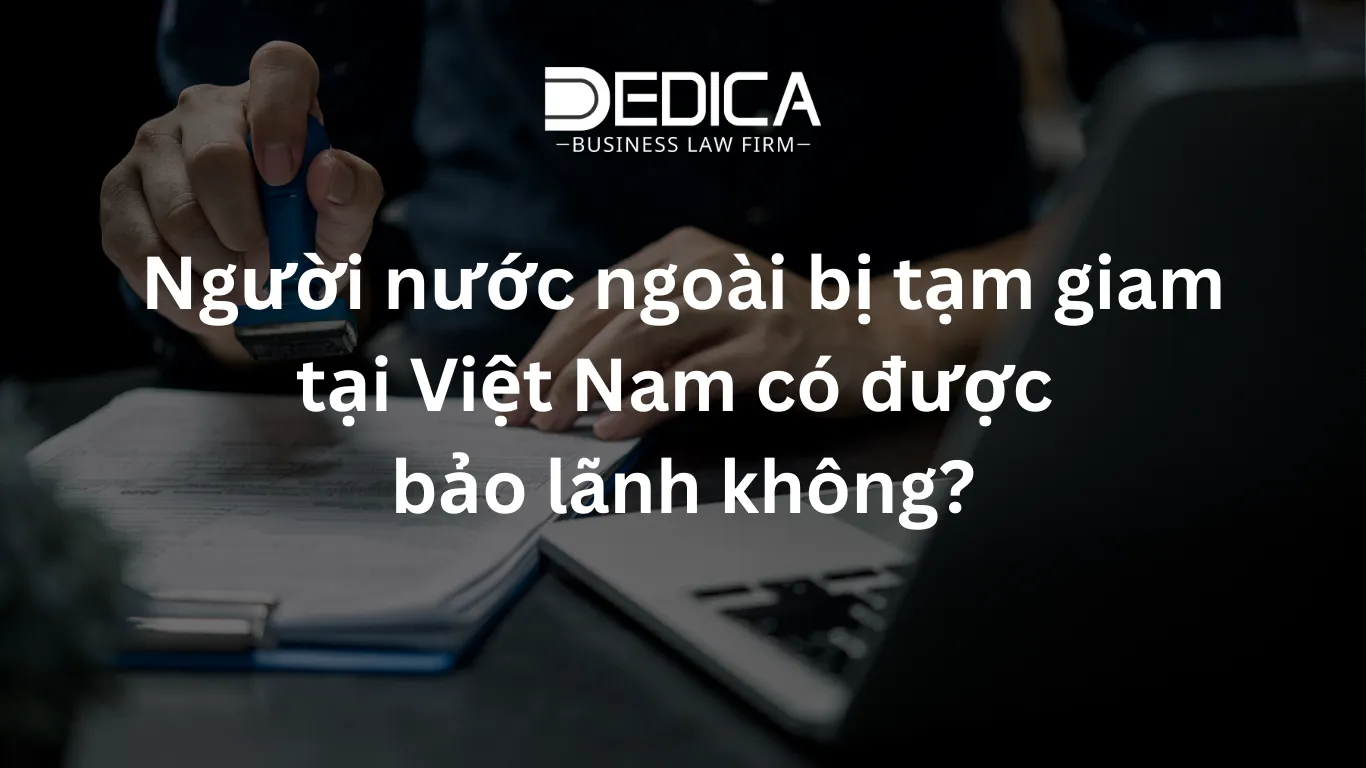 ảnh website dedica - 2026-03-02T113442.022.webp