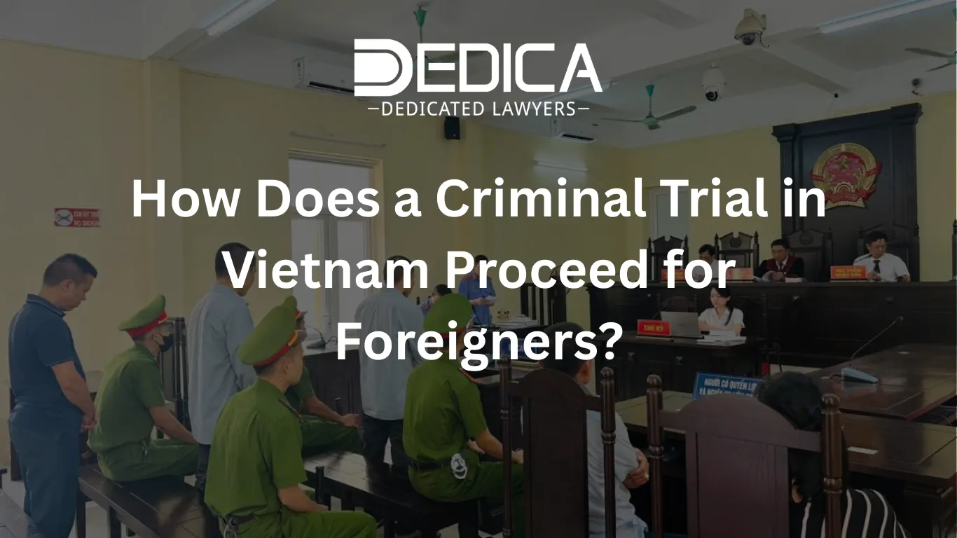 ảnh website dedica - 2026-03-03T105723.420.webp