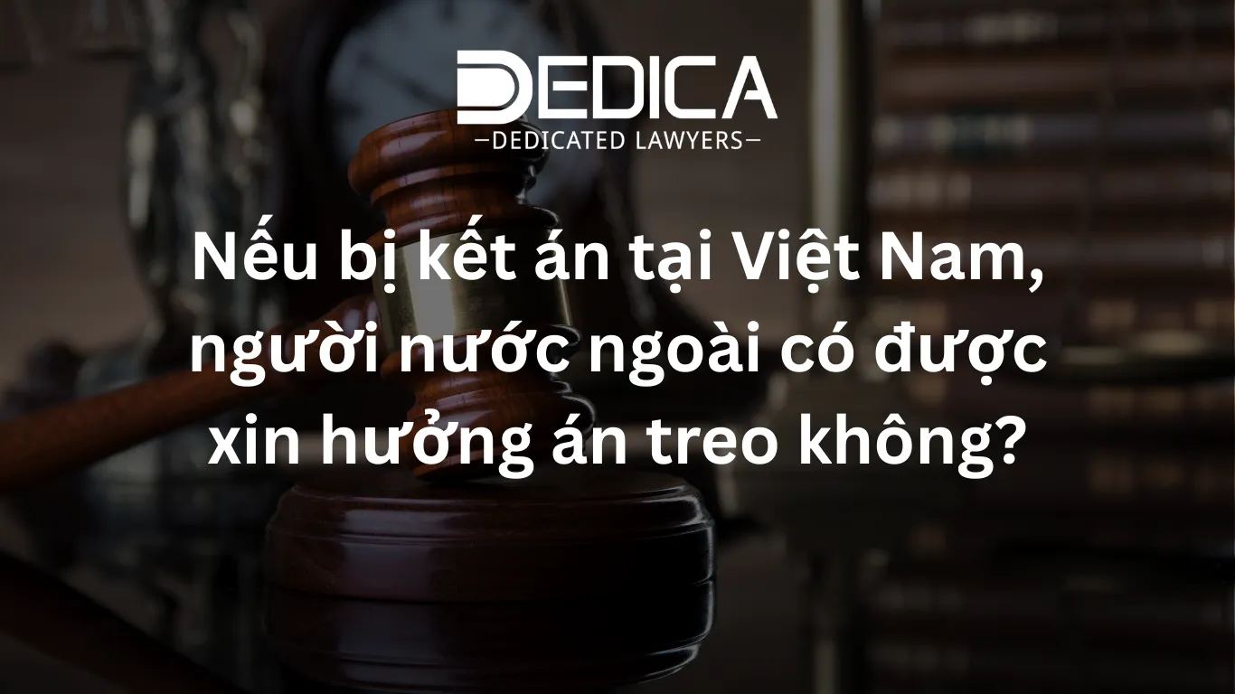 ảnh website dedica - 2026-03-03T141550.540.webp