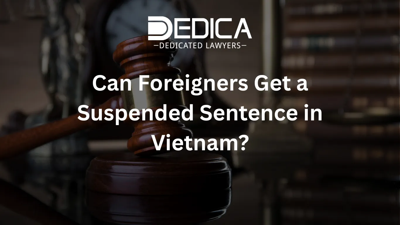 ảnh website dedica - 2026-03-03T144655.933.webp