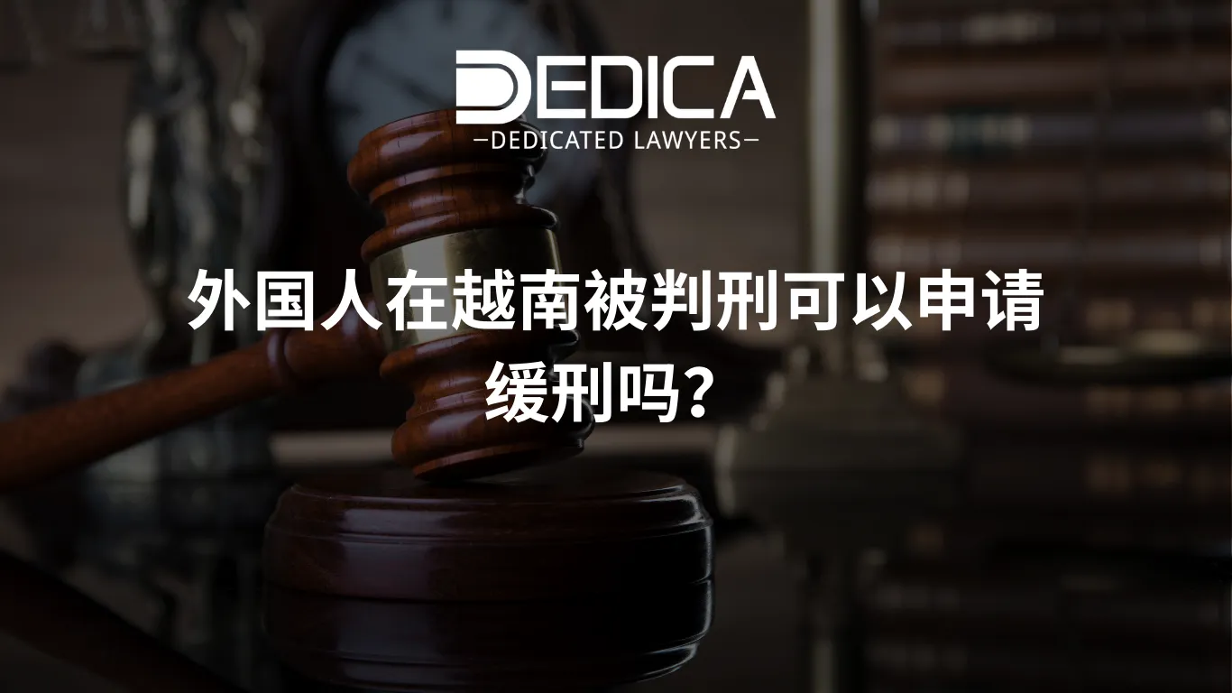 ảnh website dedica - 2026-03-03T145412.949.webp