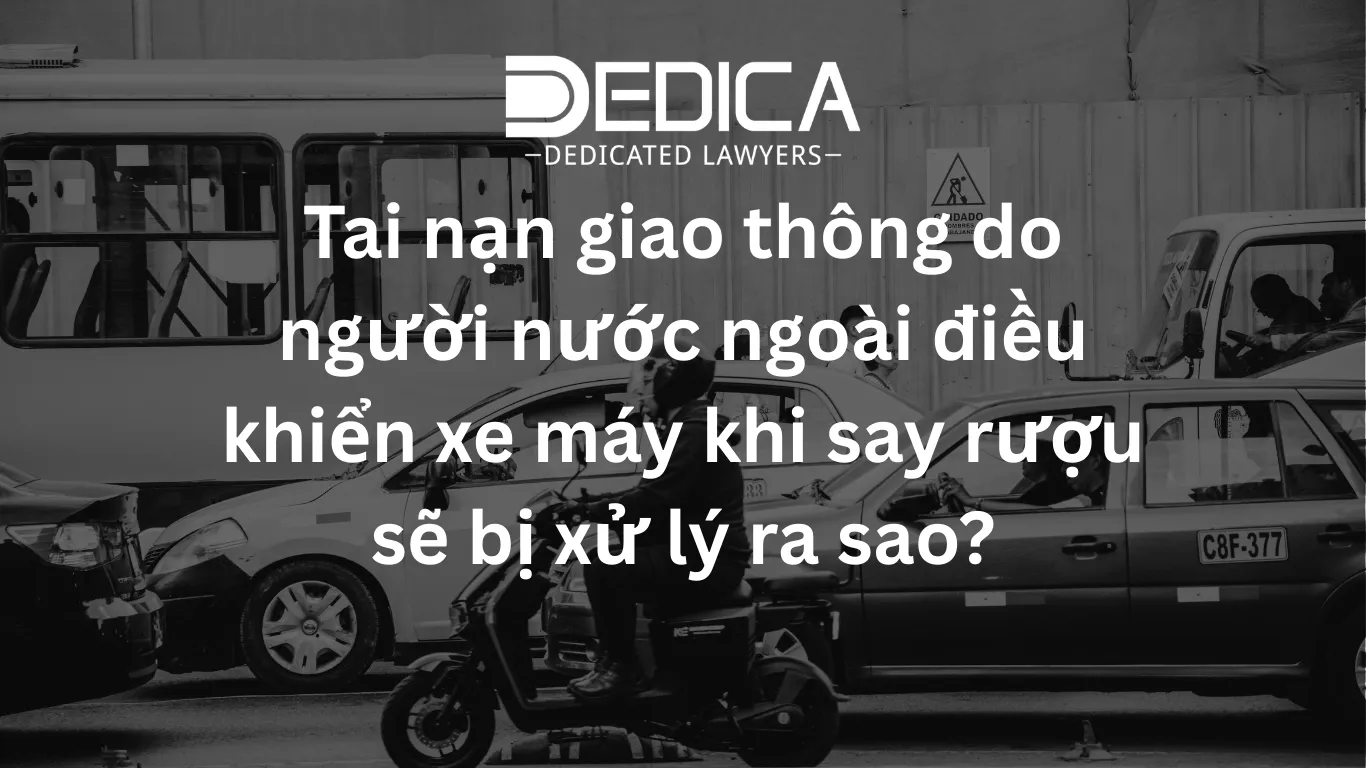 ảnh website dedica - 2026-03-03T155323.163.webp