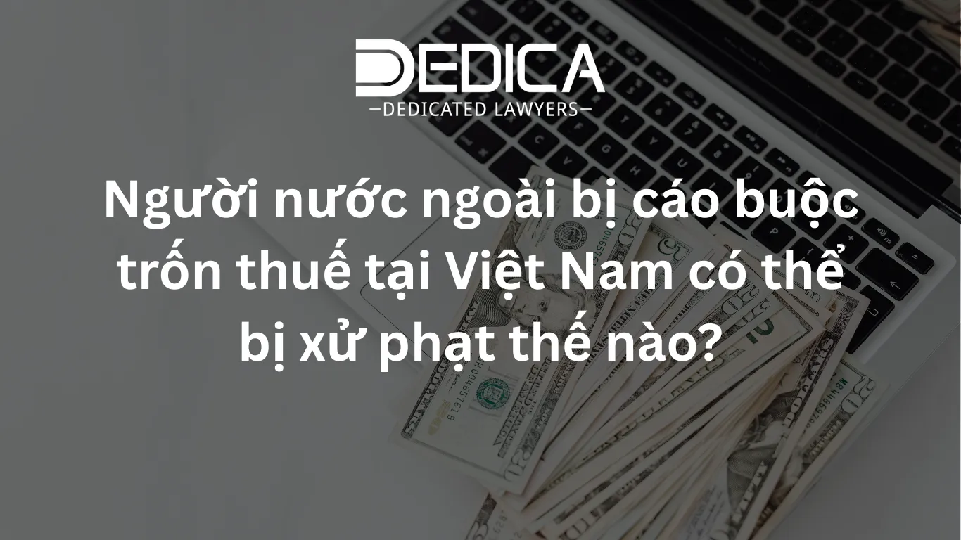 ảnh website dedica - 2026-03-04T105324.983.webp