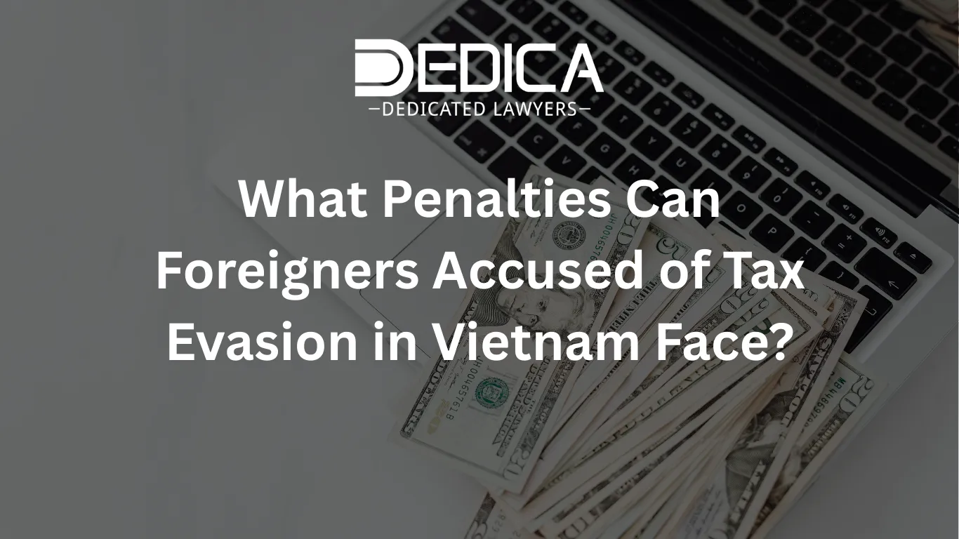 ảnh website dedica - 2026-03-04T115142.095.webp