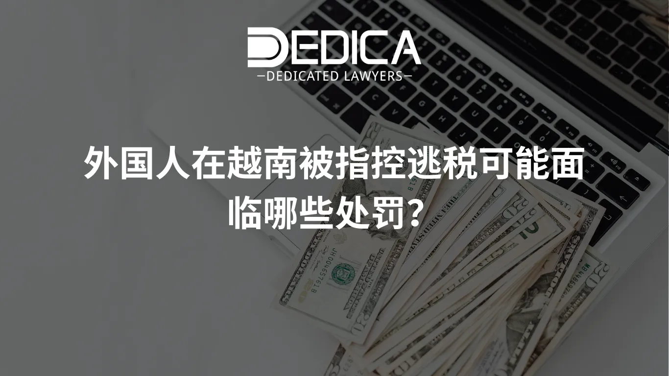 ảnh website dedica - 2026-03-04T134133.755.webp