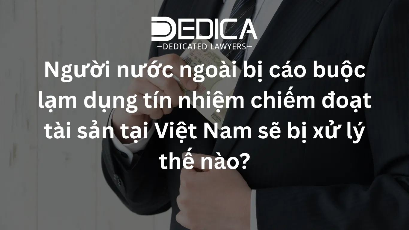 ảnh website dedica - 2026-03-05T101242.923.webp