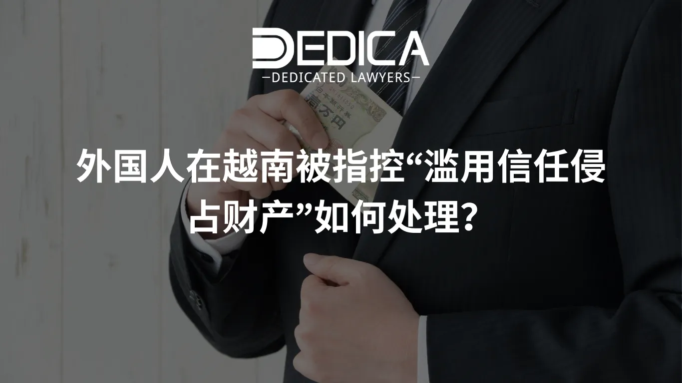 ảnh website dedica - 2026-03-05T105817.931.webp