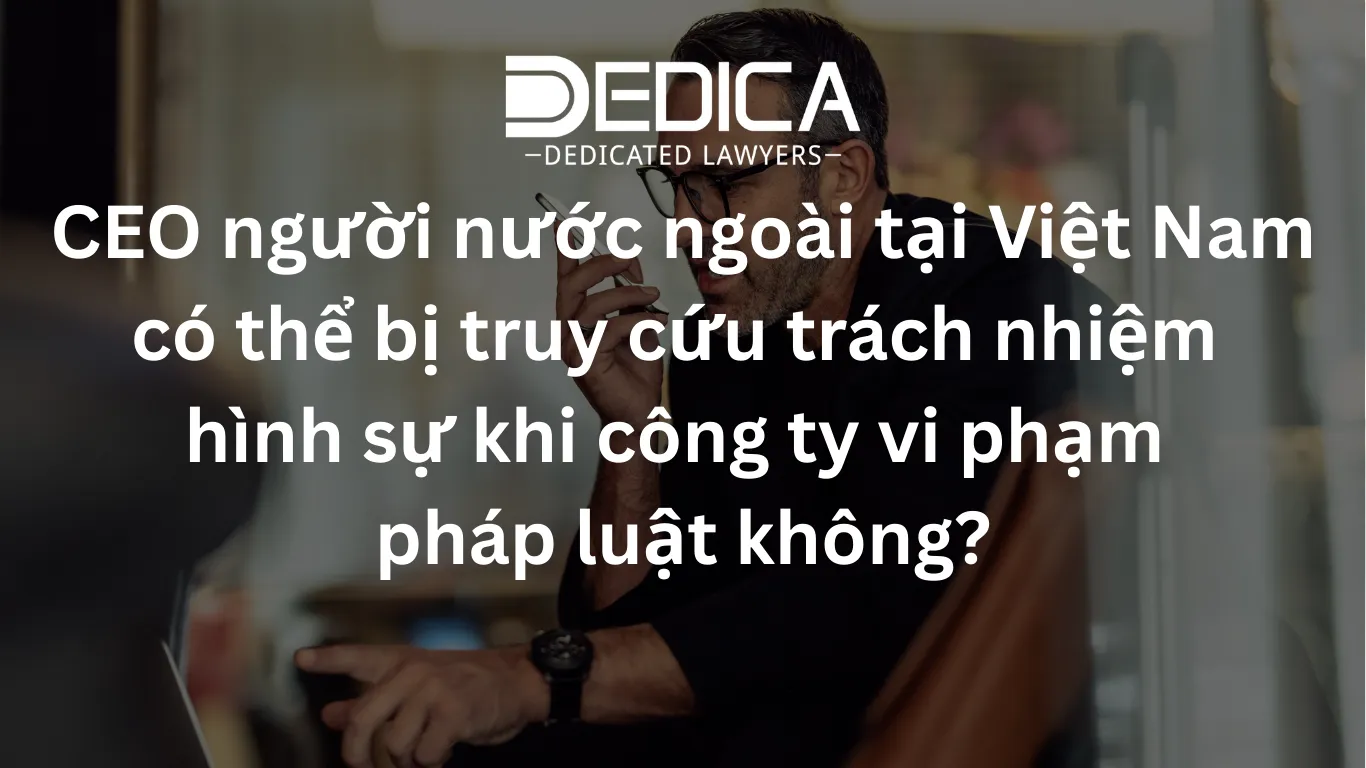 ảnh website dedica - 2026-03-06T153152.676.webp