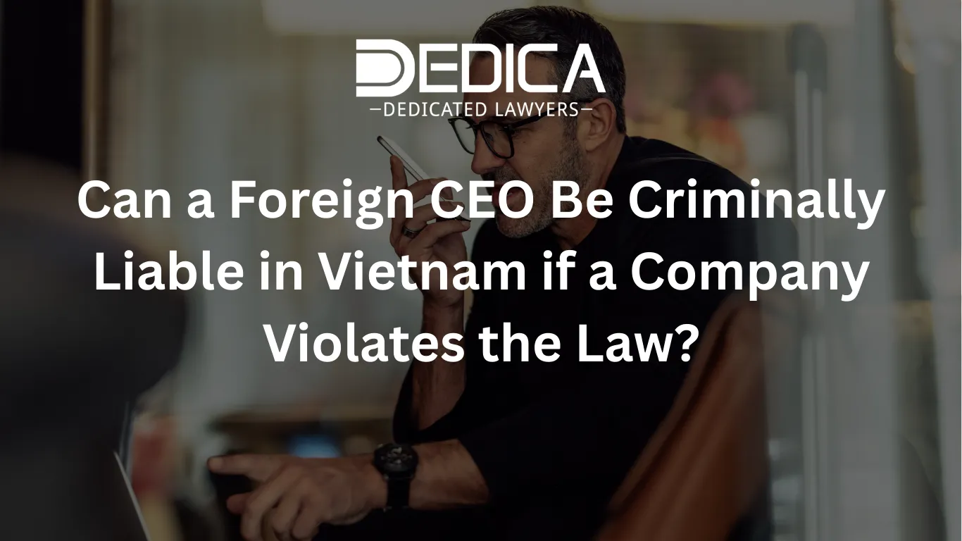 ảnh website dedica - 2026-03-06T155013.373.webp