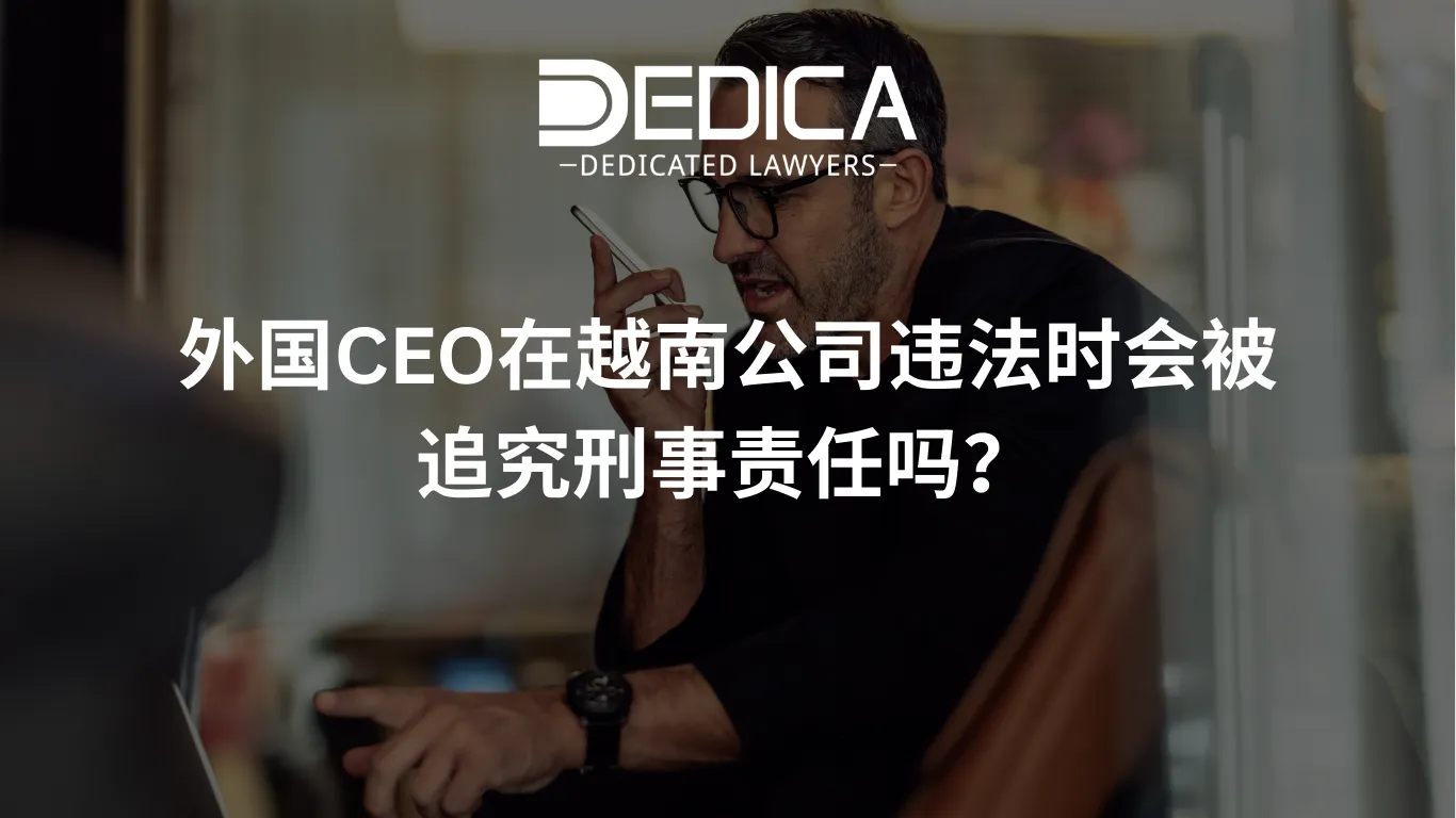 ảnh website dedica - 2026-03-06T155230.643.webp