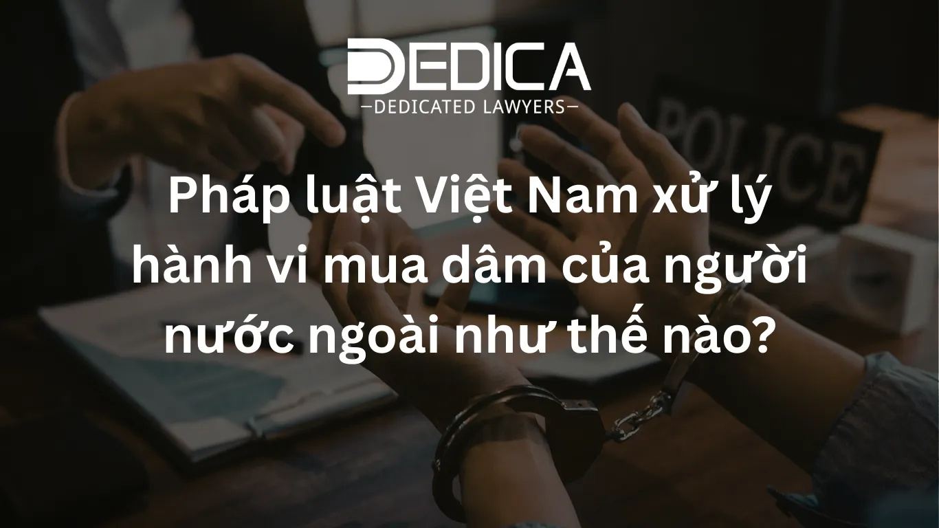 ảnh website dedica - 2026-03-12T112149.019.webp