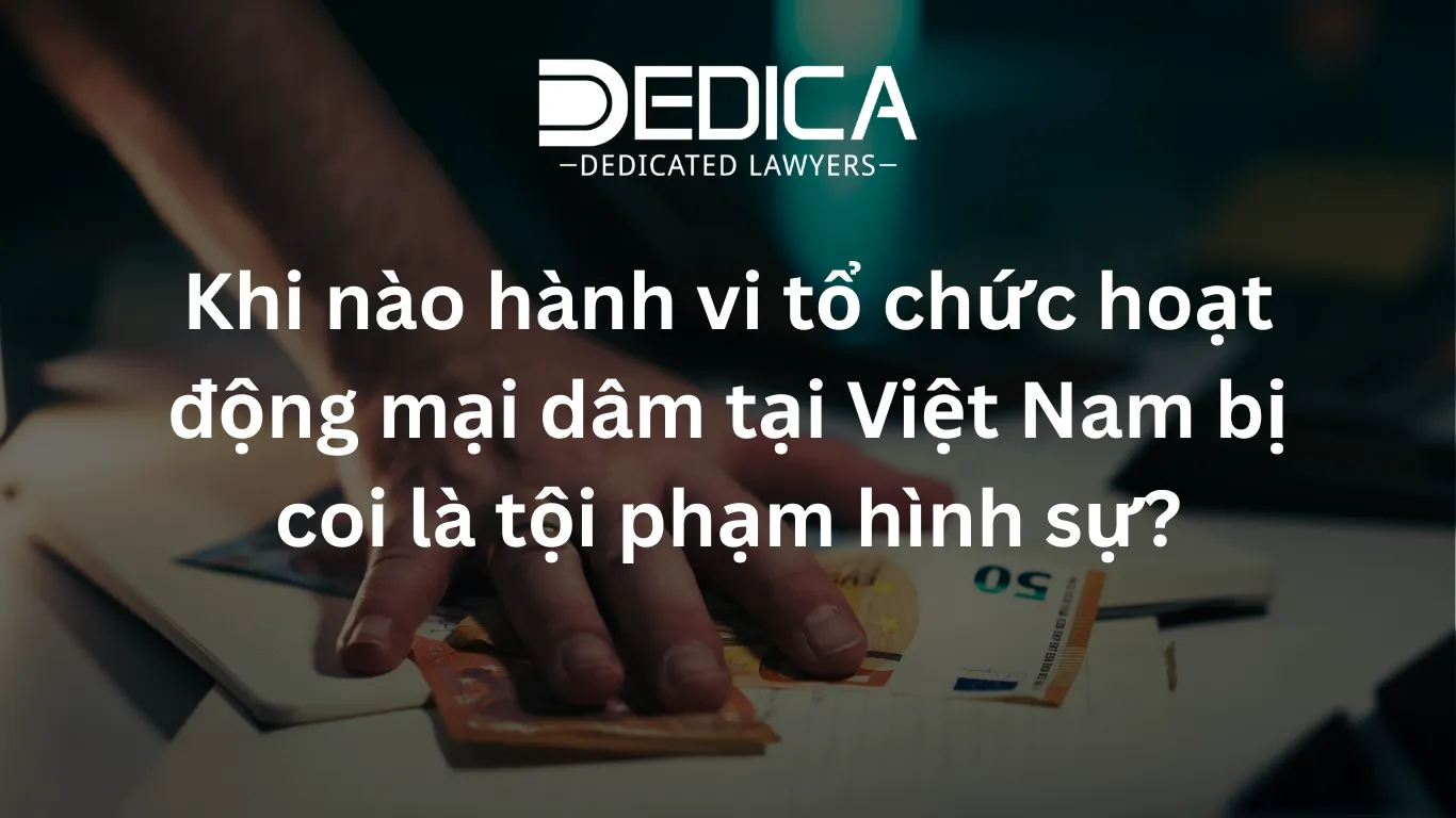 ảnh website dedica - 2026-03-13T113753.243.webp