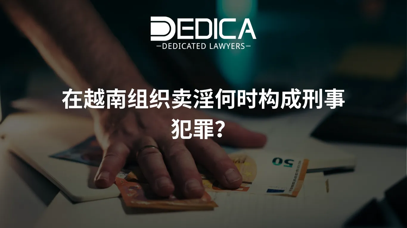 ảnh website dedica - 2026-03-13T142021.808.webp