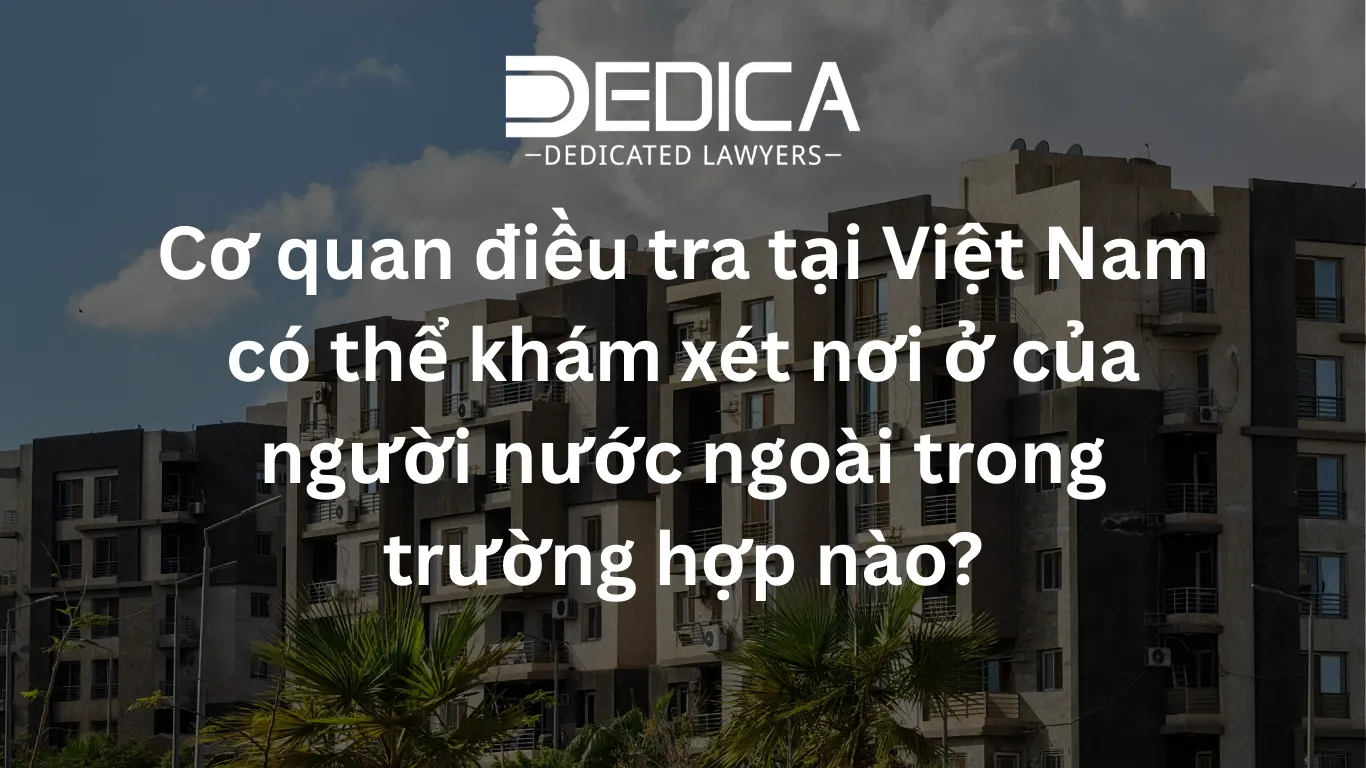 ảnh website dedica - 2026-03-13T150047.355.webp