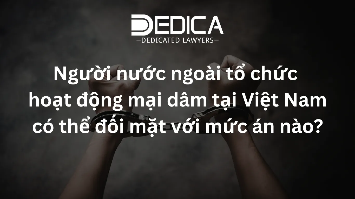 ảnh website dedica - 2026-03-17T095136.187.webp