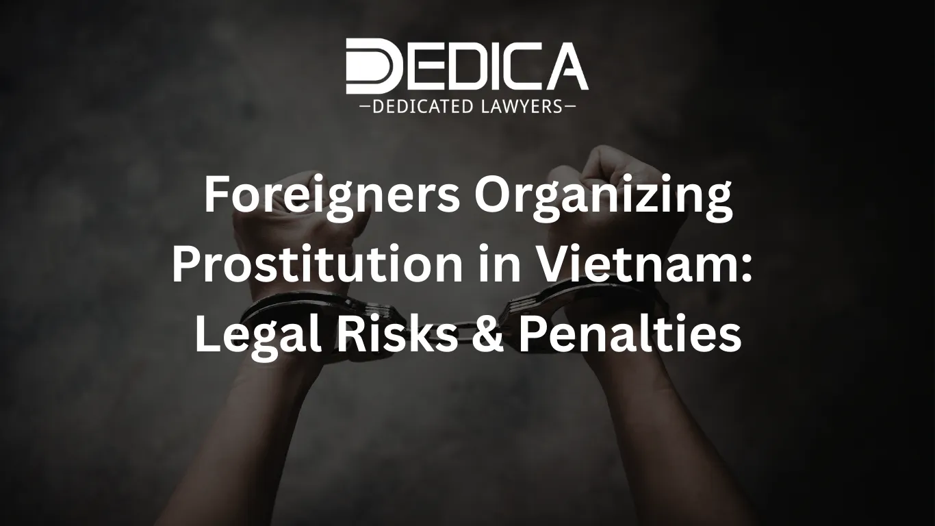 ảnh website dedica - 2026-03-17T110425.314.webp