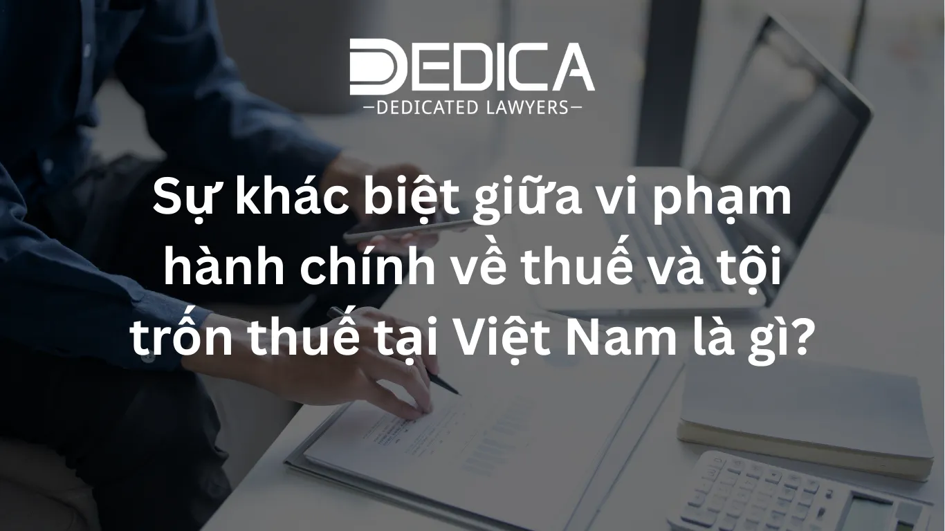 ảnh website dedica - 2026-03-17T144808.671.webp