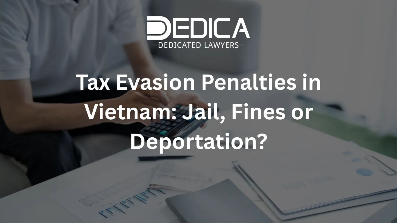 ảnh website dedica - 2026-03-18T103459.049.webp