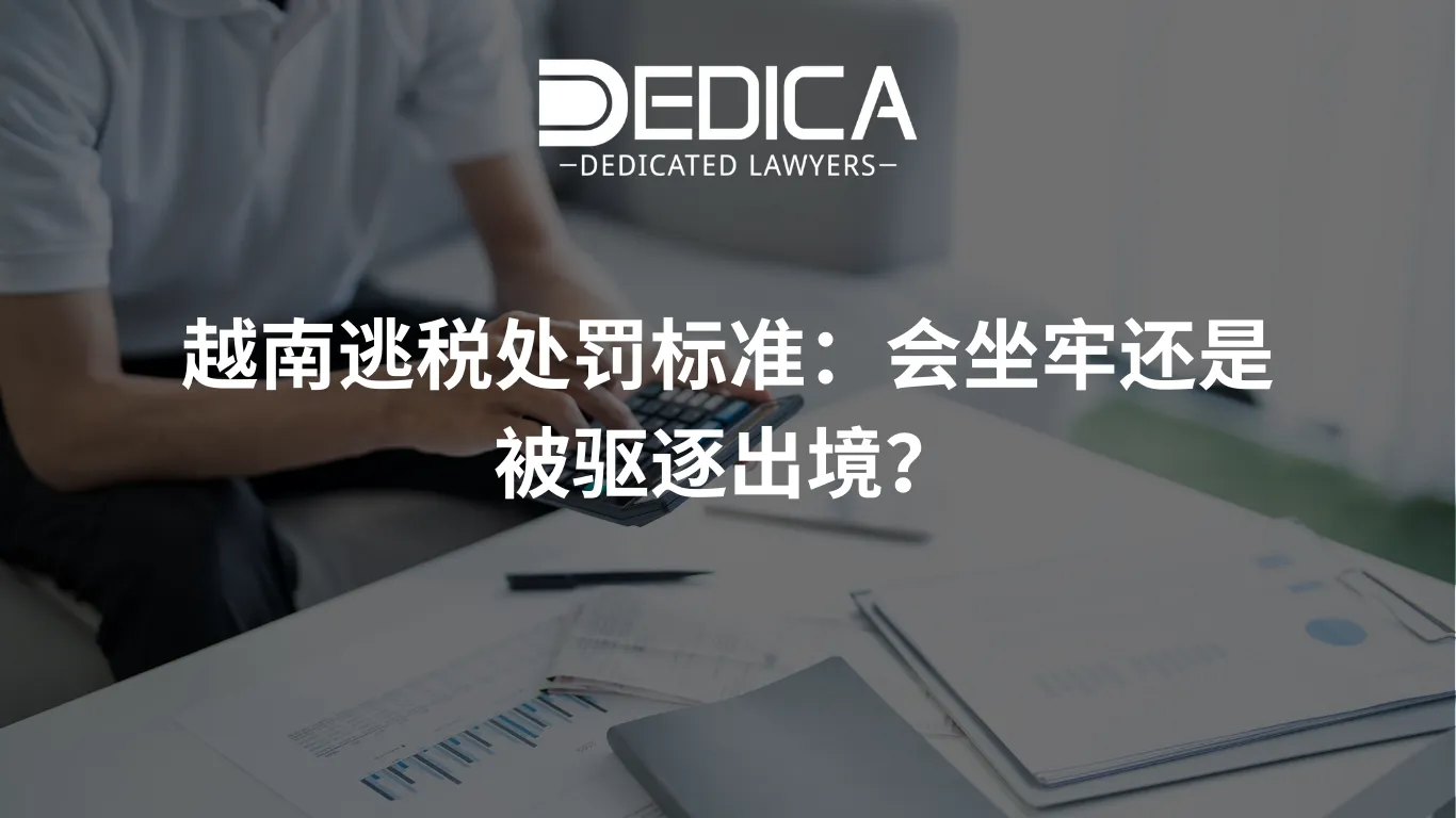 ảnh website dedica - 2026-03-18T105841.415.webp