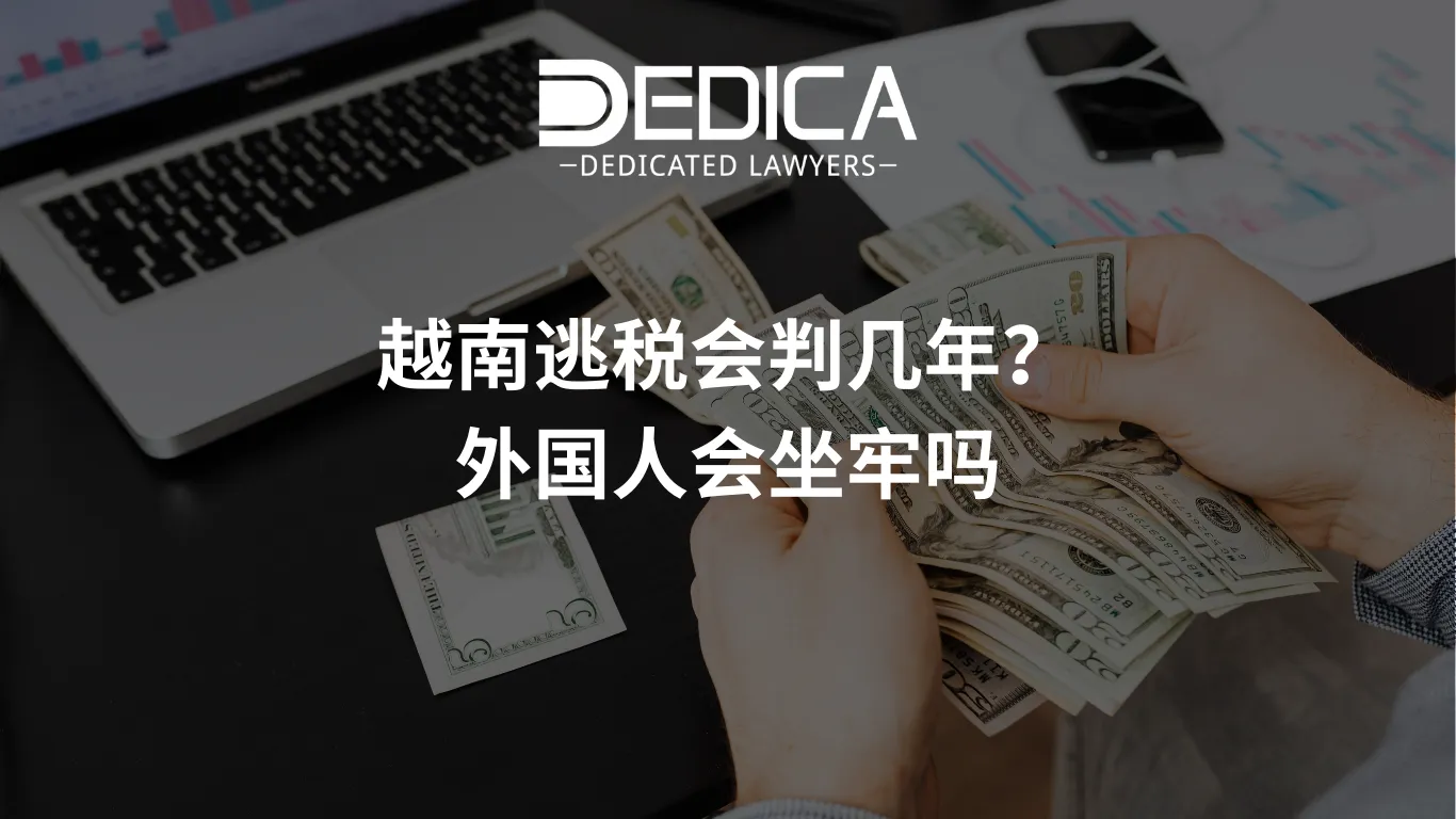 ảnh website dedica - 2026-03-18T145152.927.webp