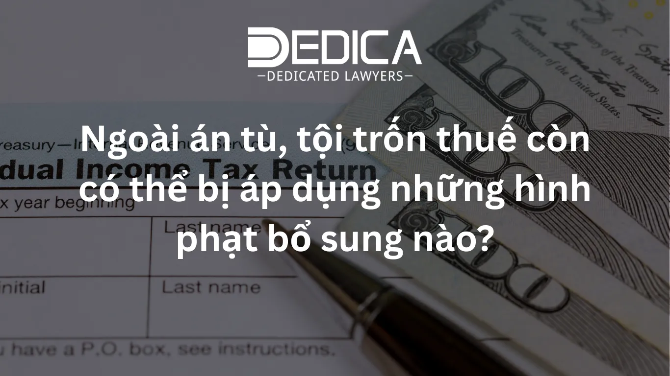 ảnh website dedica - 2026-03-19T105103.370.webp