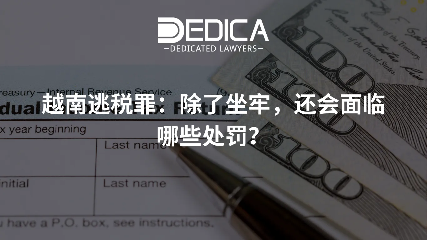 ảnh website dedica - 2026-03-19T111709.657.webp