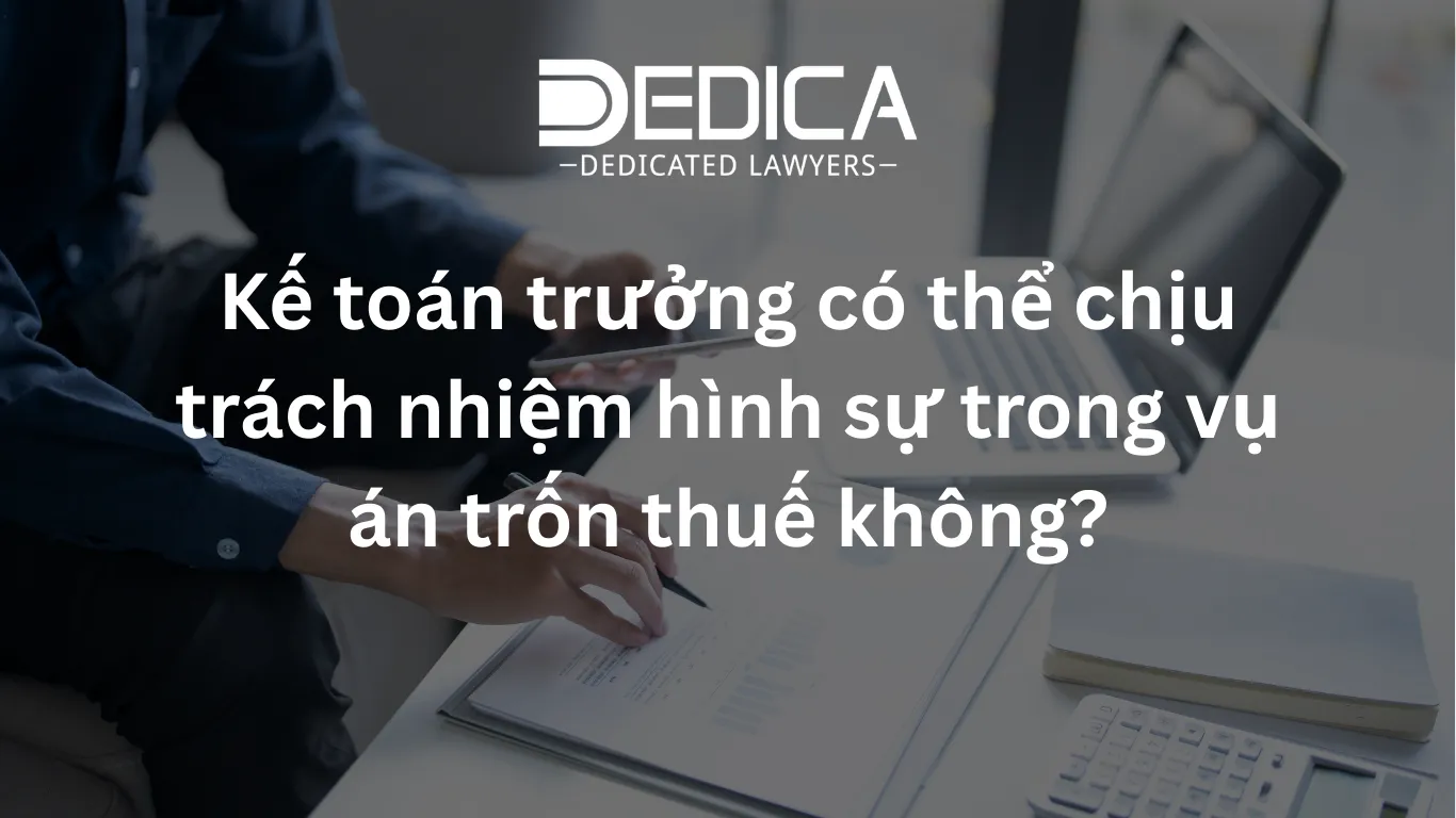 ảnh website dedica - 2026-03-19T140327.519.webp