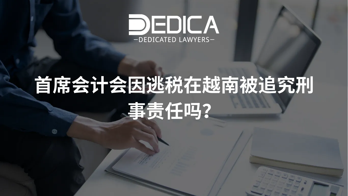 ảnh website dedica - 2026-03-19T144410.498.webp