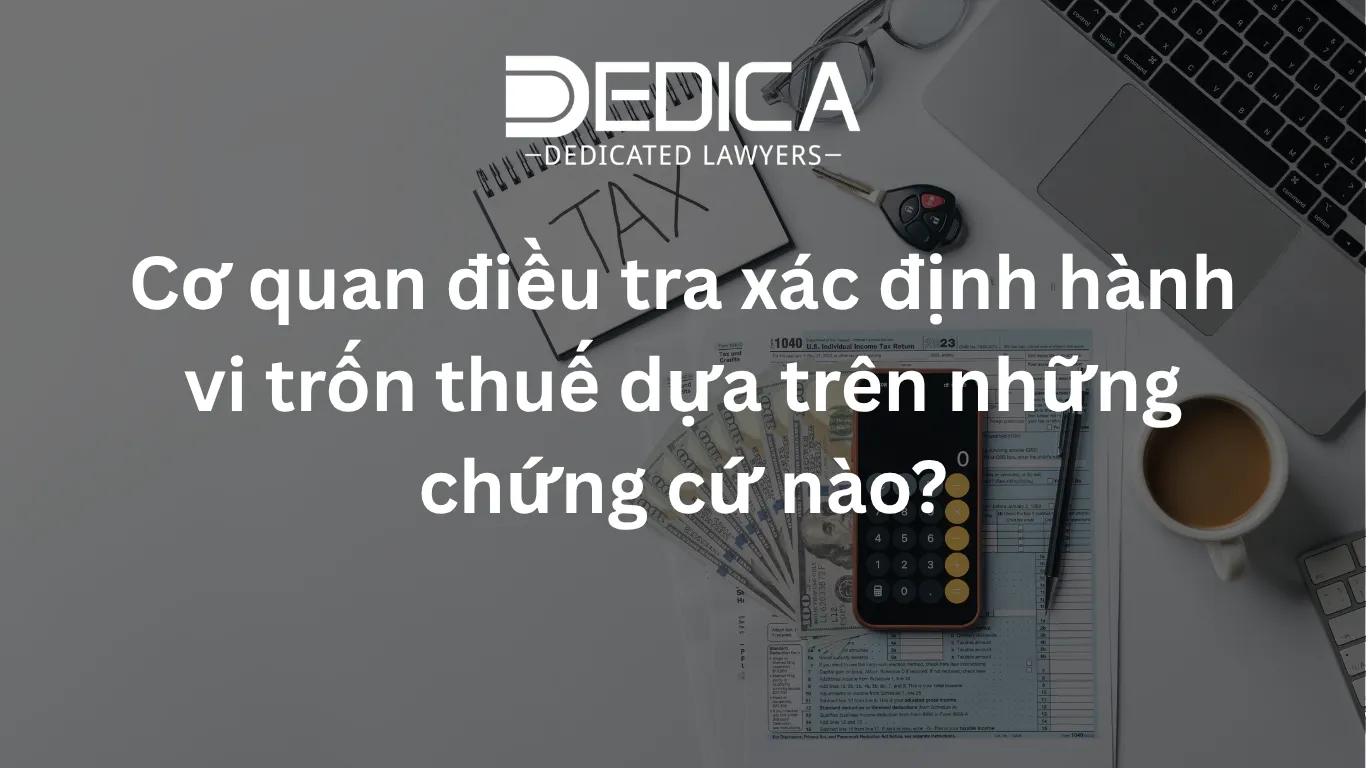 ảnh website dedica - 2026-03-20T114618.478.webp