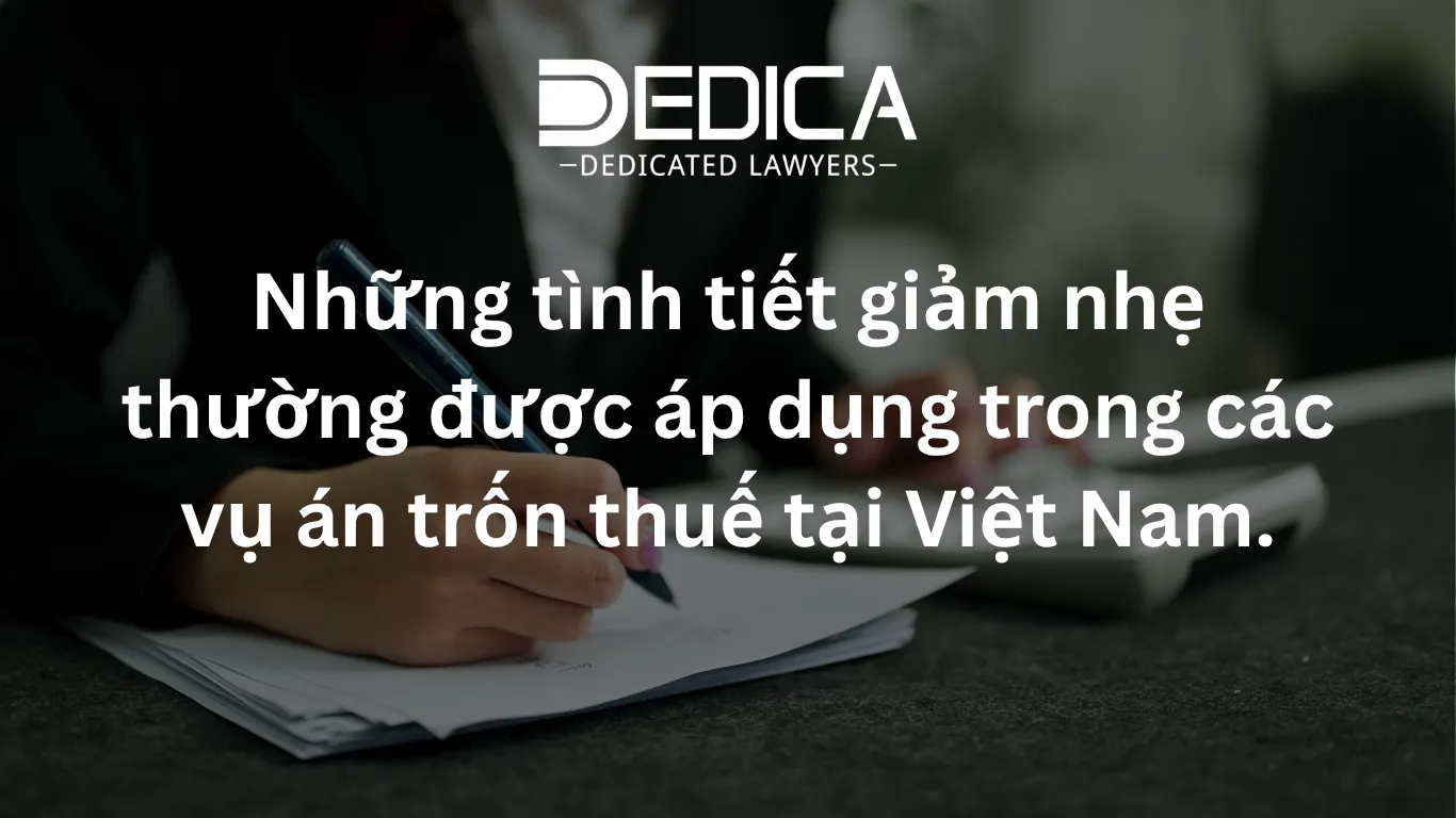 ảnh website dedica - 2026-03-20T140411.906.webp